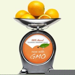 Should we save the orange with GMOs?